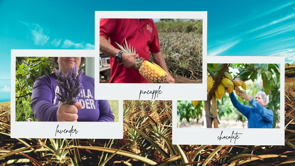 Hero foreground image