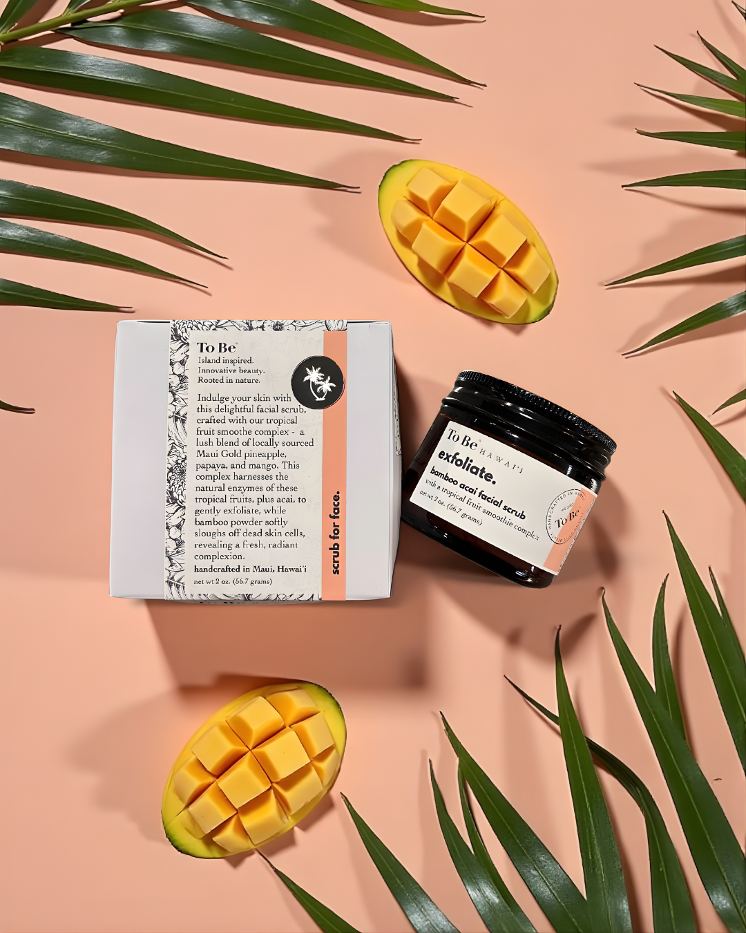 The Discovery Kit – To Be Hawai'i