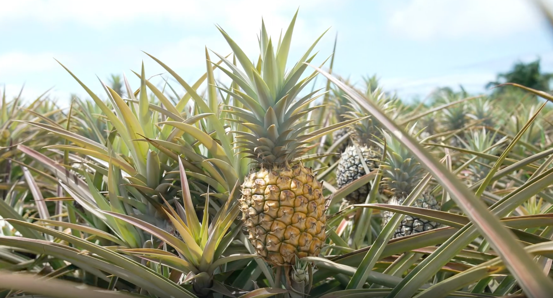 Hero background image